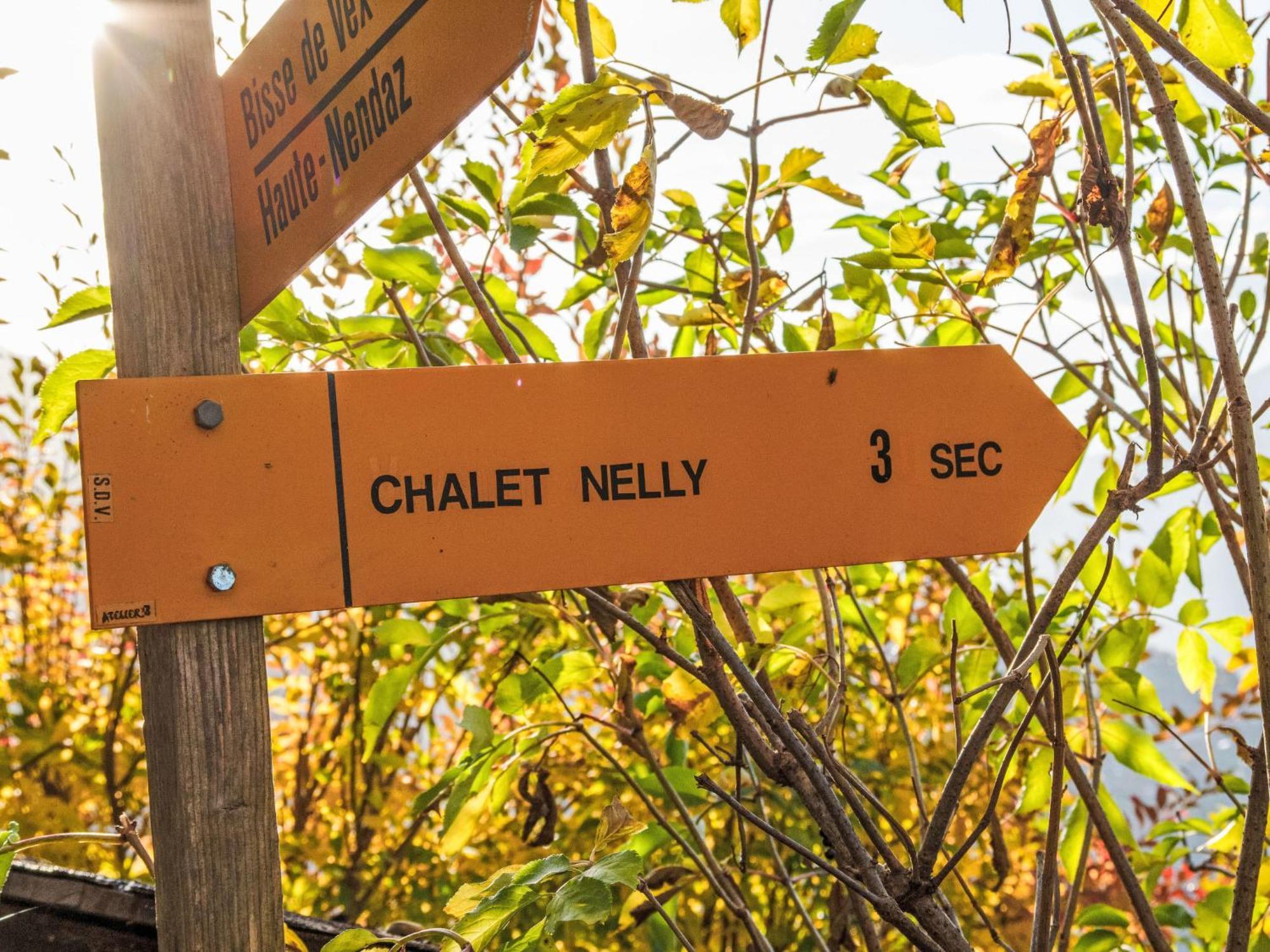 ויסונה Chalet Nelly By Interhome מראה חיצוני תמונה